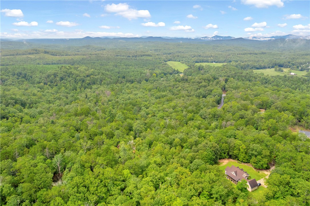 Lot 13 Right Branch Drive Mountain Rest, SC 29664 - Photo 20 of 36