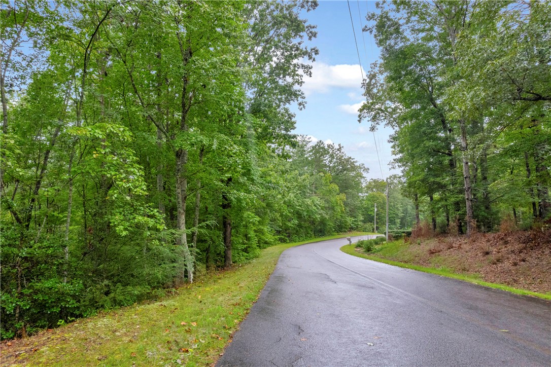 Lot 13 Right Branch Drive Mountain Rest, SC 29664 - Photo 24 of 36