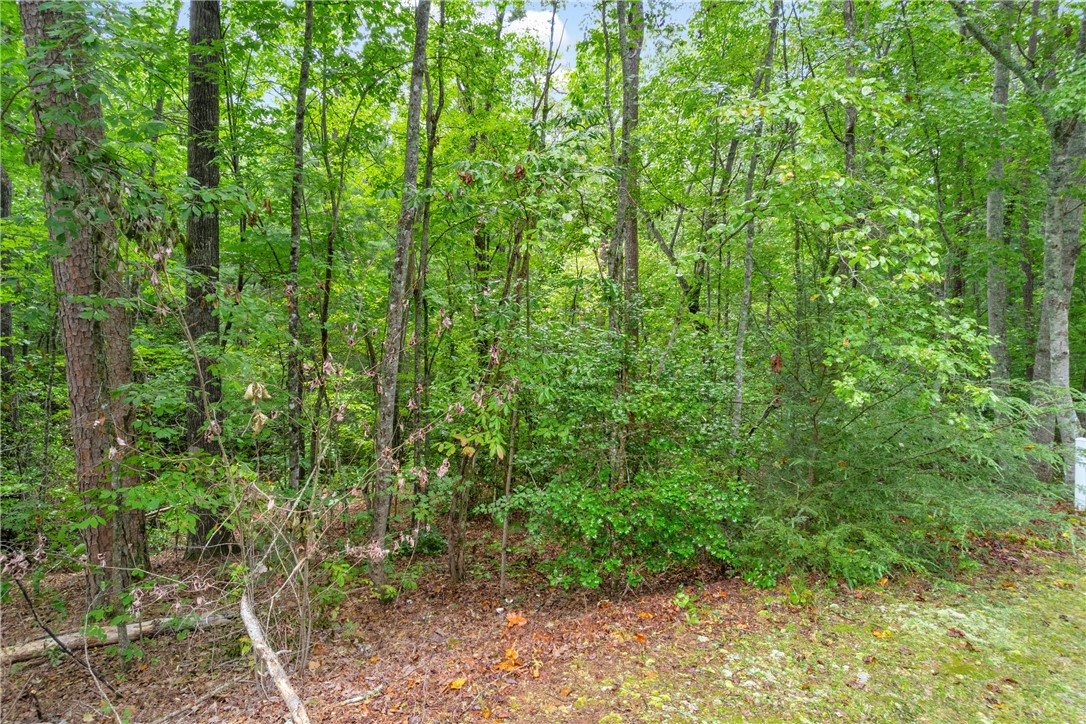 Lot 13 Right Branch Drive Mountain Rest, SC 29664 - Photo 26 of 36