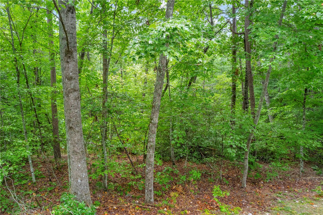 Lot 13 Right Branch Drive Mountain Rest, SC 29664 - Photo 27 of 36