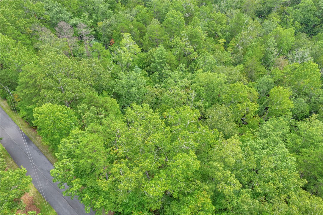 Lot 13 Right Branch Drive Mountain Rest, SC 29664 - Photo 28 of 36