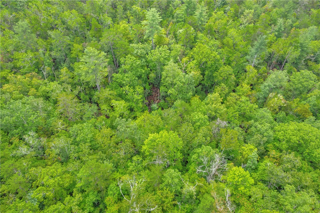 Lot 13 Right Branch Drive Mountain Rest, SC 29664 - Photo 30 of 36
