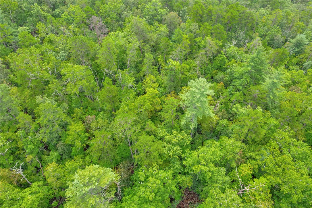 Lot 13 Right Branch Drive Mountain Rest, SC 29664 - Photo 31 of 36