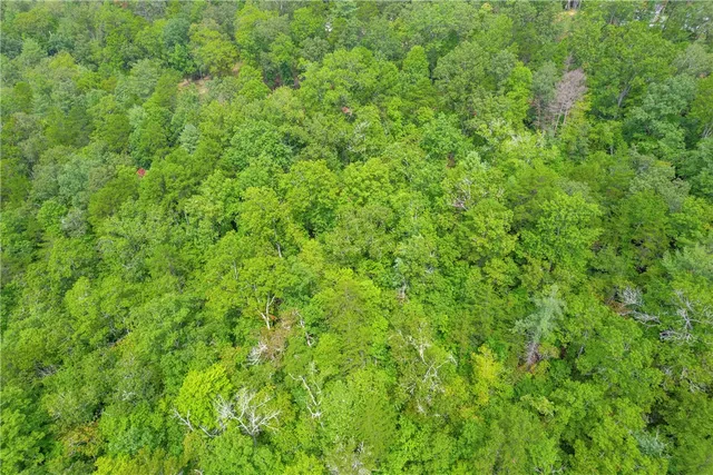 $78,000 | Lot 13 Right Branch Drive, Mountain Rest, SC 29664