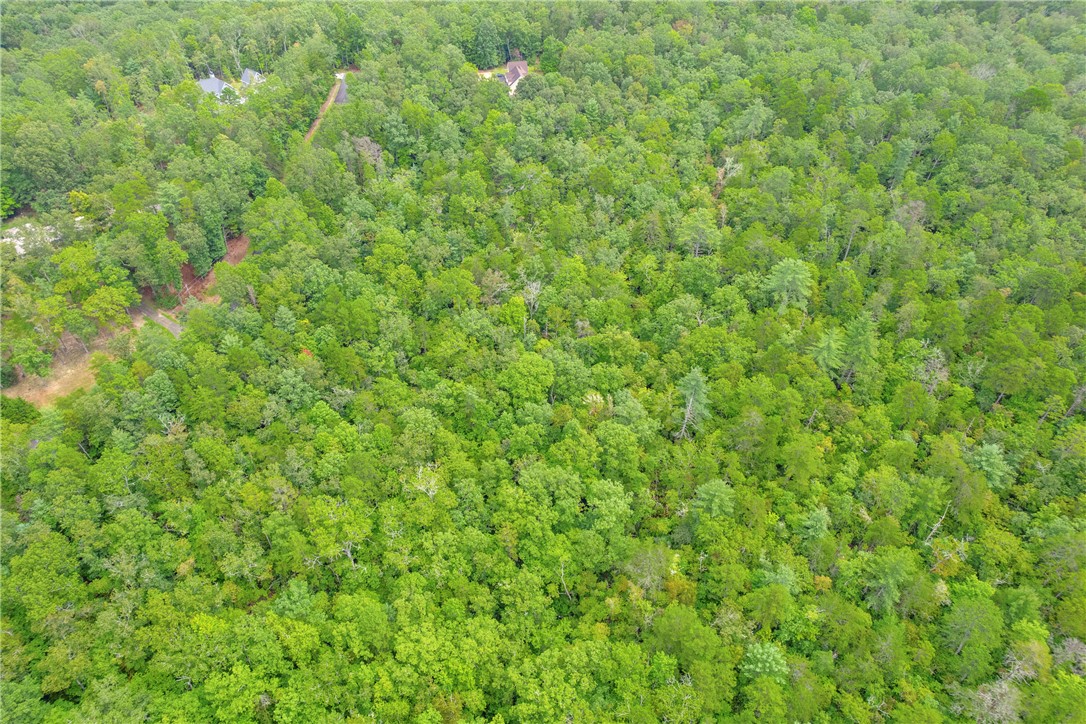 Lot 13 Right Branch Drive Mountain Rest, SC 29664 - Photo 33 of 36