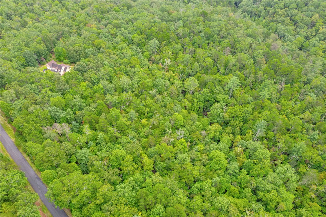 Lot 13 Right Branch Drive Mountain Rest, SC 29664 - Photo 34 of 36