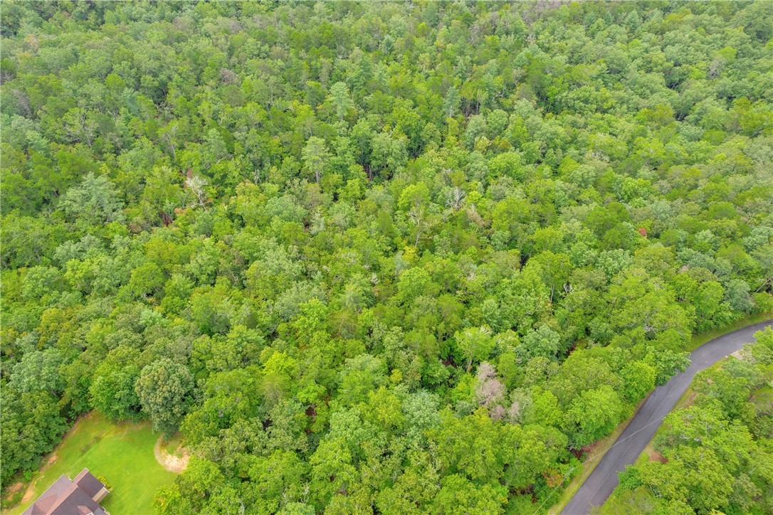 Lot 13 Right Branch Drive Mountain Rest, SC 29664 - Photo 35 of 36