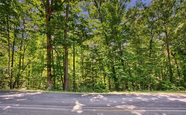 $78,000 | Lot 13 Right Branch Drive, Mountain Rest, SC 29664
