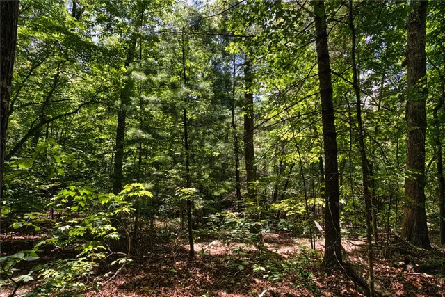 $78,000 | Lot 13 Right Branch Drive, Mountain Rest, SC 29664