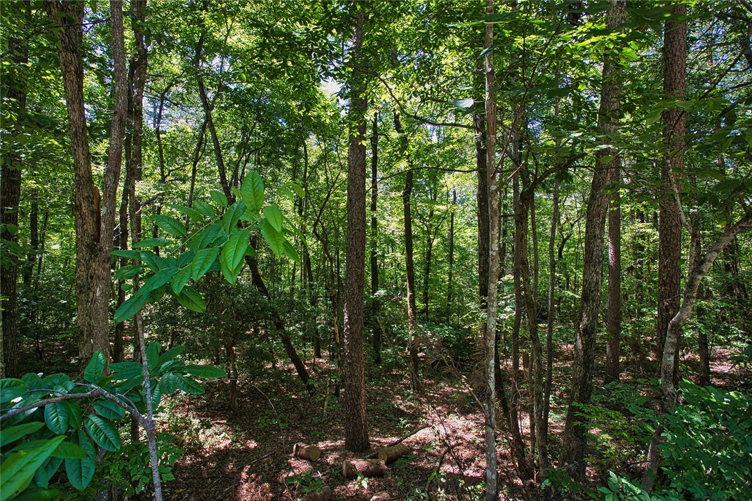 Lot 13 Right Branch Drive Mountain Rest, SC 29664 - Photo 7 of 36