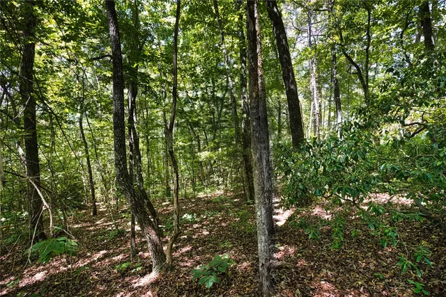 $78,000 | Lot 13 Right Branch Drive, Mountain Rest, SC 29664