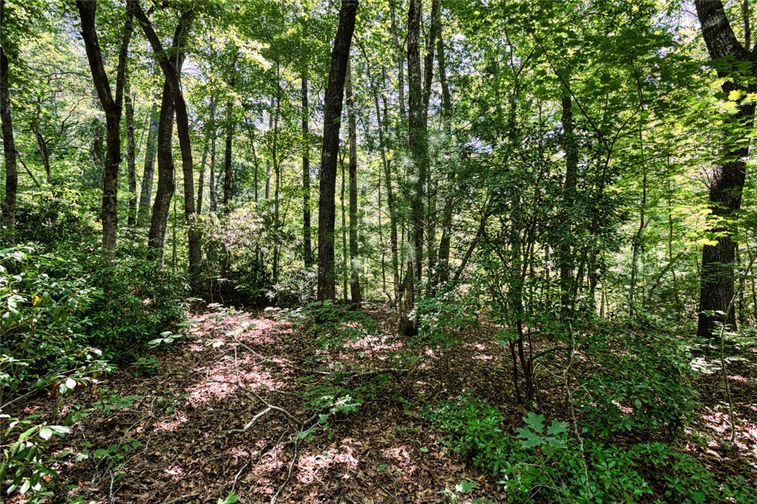 Lot 13 Right Branch Drive Mountain Rest, SC 29664 - Photo 9 of 36