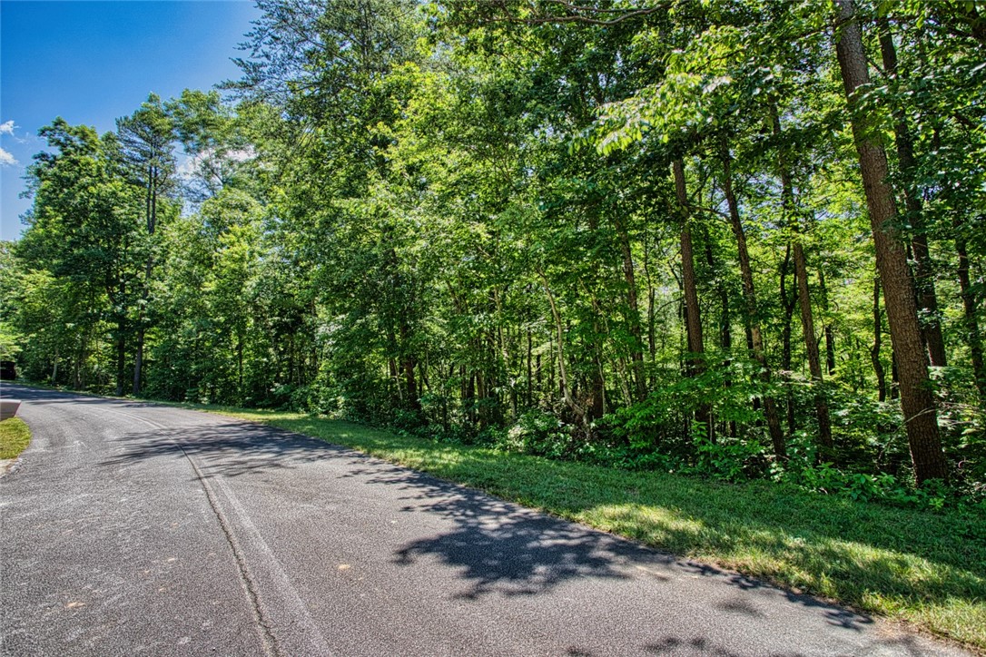 Lot 13 Right Branch Drive Mountain Rest, SC 29664 - Photo 10 of 36