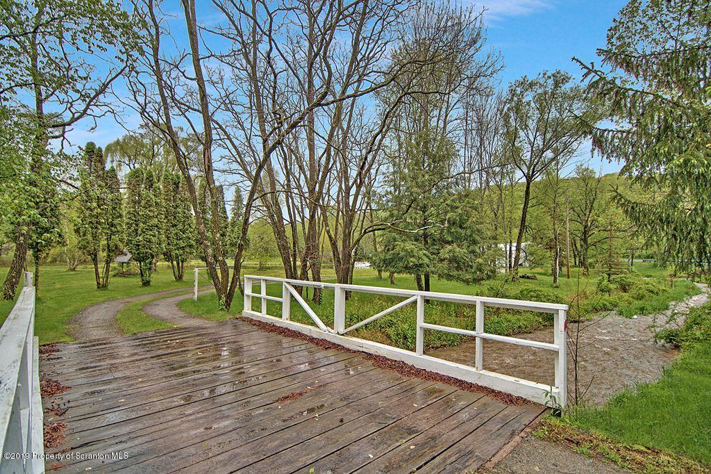 162 Highland Road Dalton, PA 18414 - Photo 32 of 44 a view of backyard with trees
