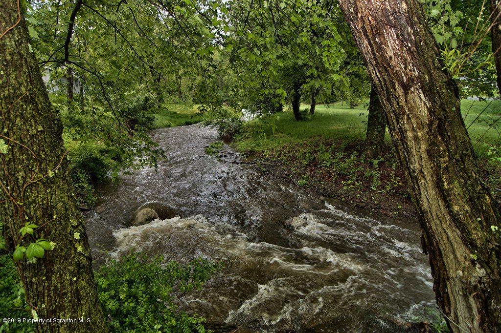 162 Highland Road Dalton, PA 18414 - Photo 4 of 44 a view of a forest with a tree