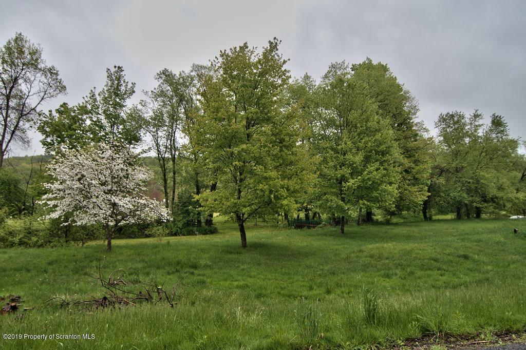 162 Highland Road Dalton, PA 18414 - Photo 44 of 44 a view of grassy field with benches