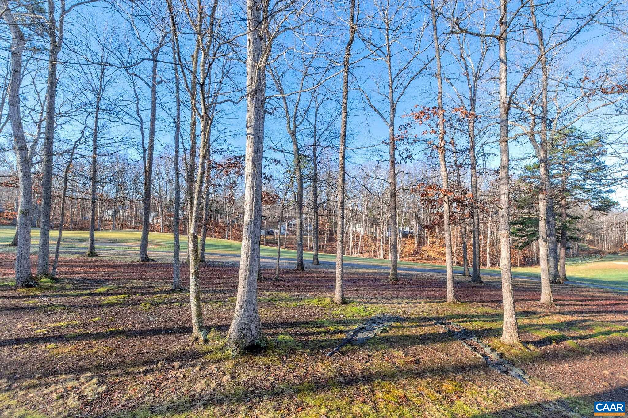 28 Dogleg Road Palmyra, VA 22963 - Photo 20 of 75 Gallery Image 20