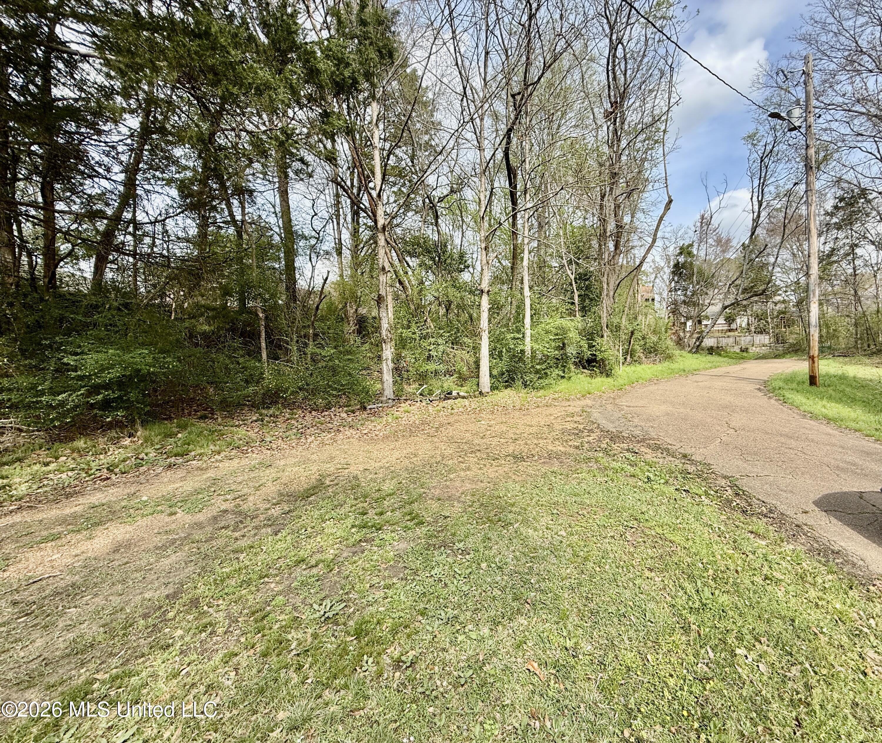 0 South Warrenton Road Clinton, MS 39056 - Photo 2 of 5 IMG_7498