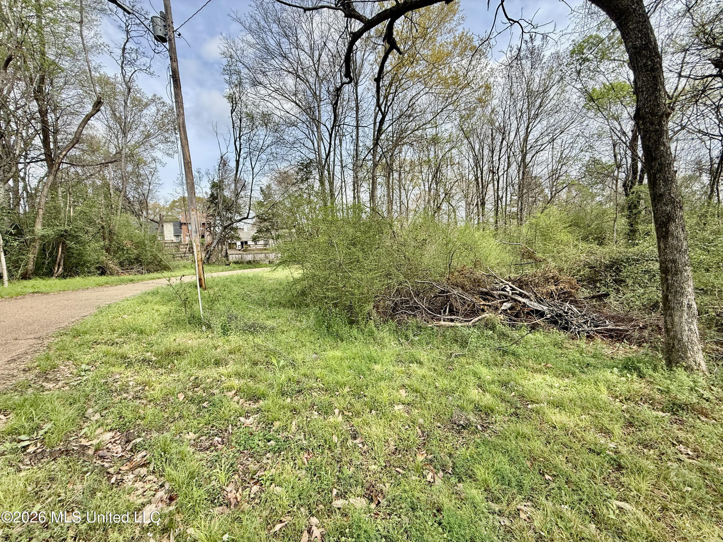 0 South Warrenton Road Clinton, MS 39056 - Photo 3 of 5 IMG_7499