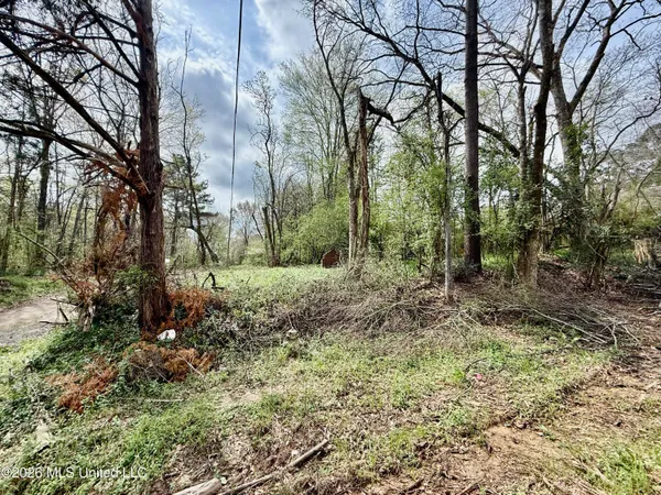 $19,999 | 0 South Warrenton Road, Clinton, MS 39056