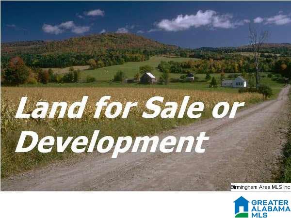 8941 Corner School Road Warrior, AL 35180 - Photo 1 of 1