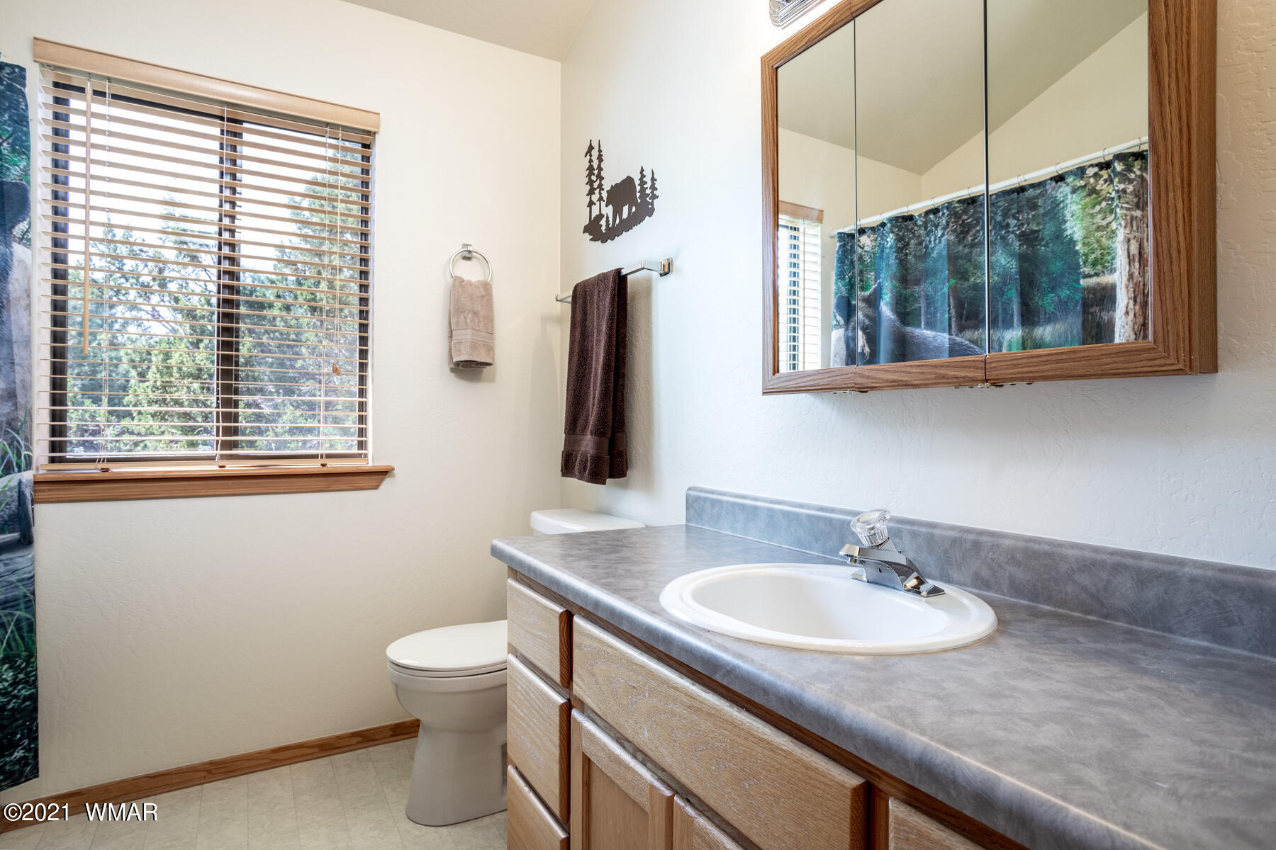 2093 Chevelon Road Overgaard, AZ 85933 - Photo 21 of 34 a bathroom with a granite countertop sink and a toilet