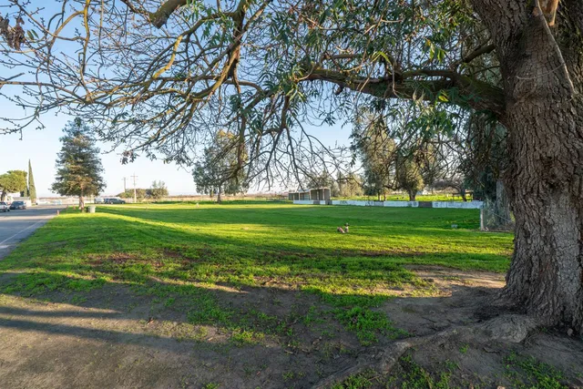 a view of a golf course with a garden