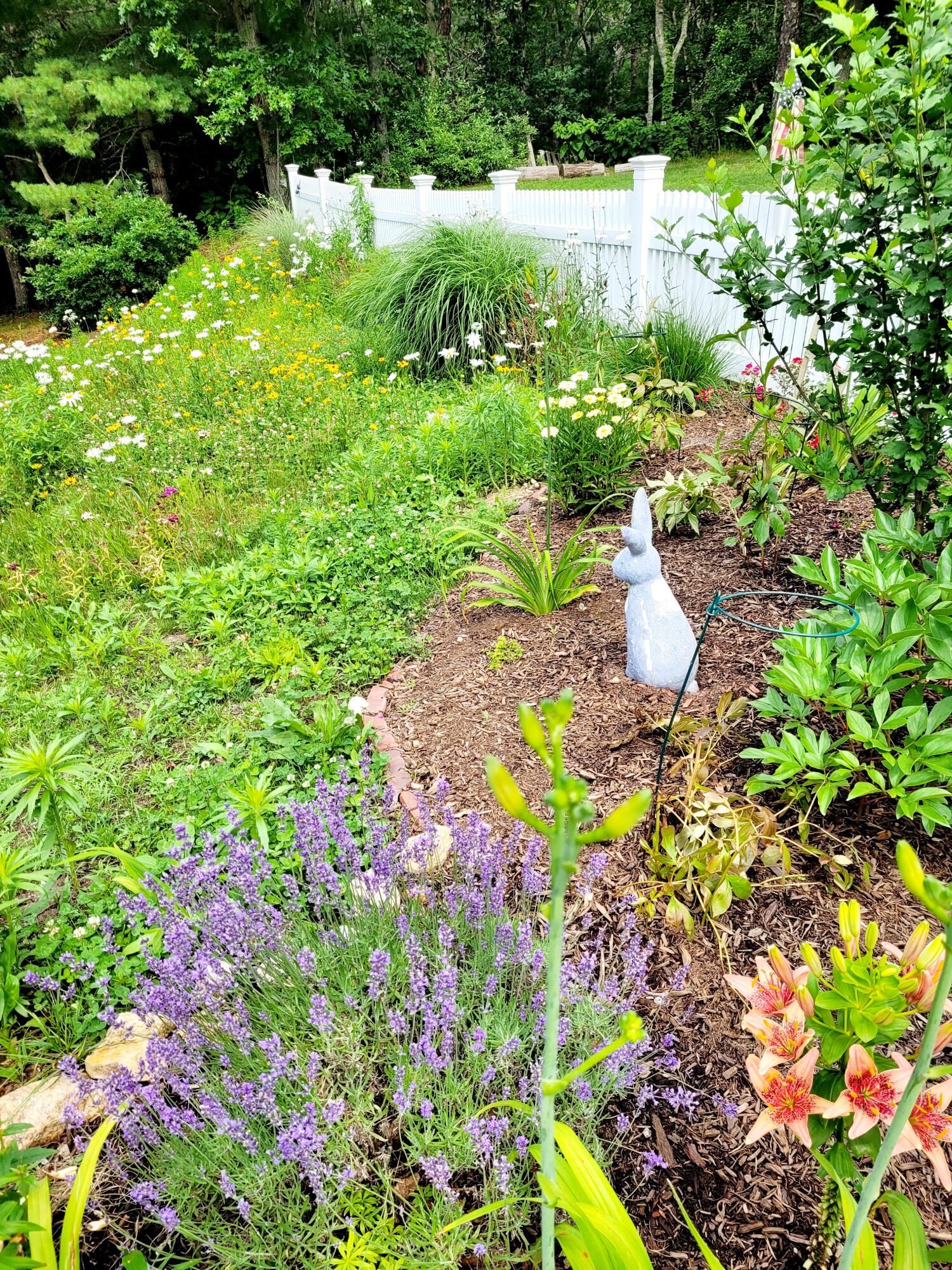 83 Mill Road East Sandwich, MA 02537 - Photo 43 of 50 20210706_100752