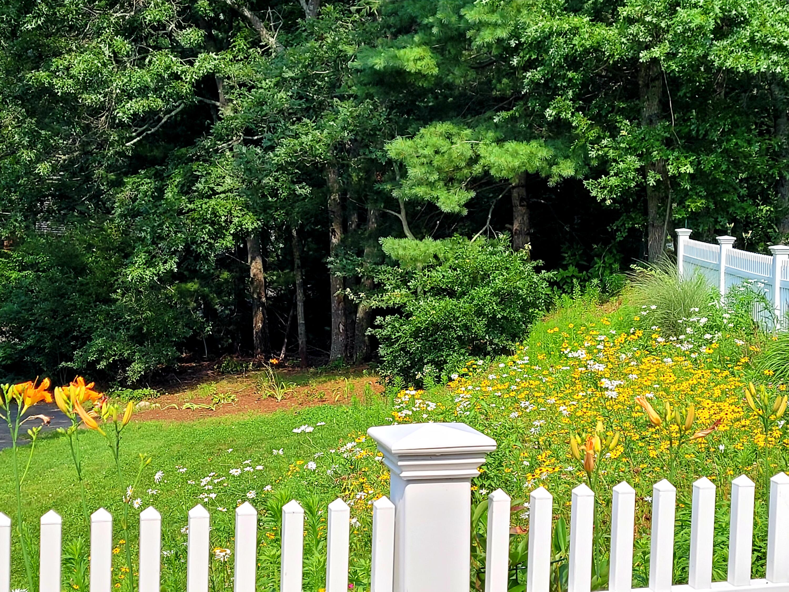 83 Mill Road East Sandwich, MA 02537 - Photo 45 of 50 20210716_101110