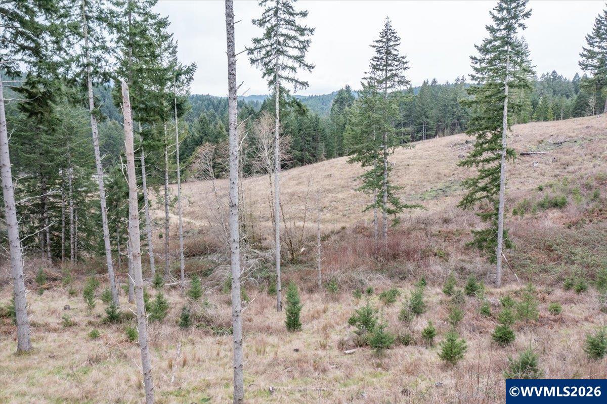 35577 Swordfern Ridge Road Blodgett, OR 97326 - Photo 48 of 50