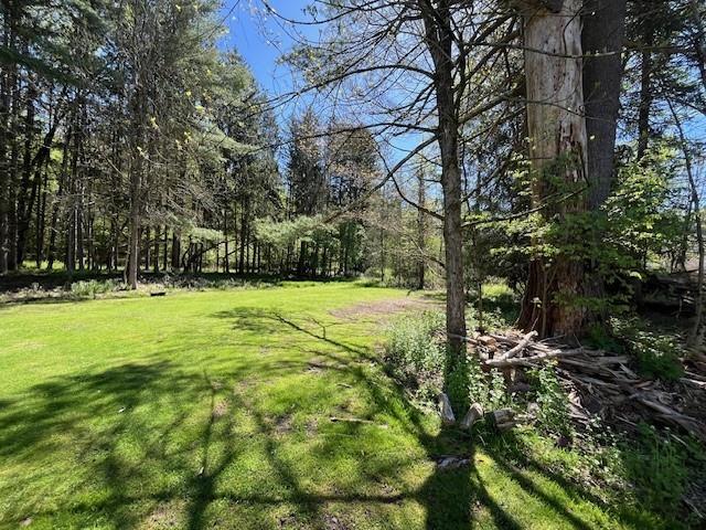Hankins Road Hankins, NY 12736 - Photo 1 of 1 Gallery Image 1
