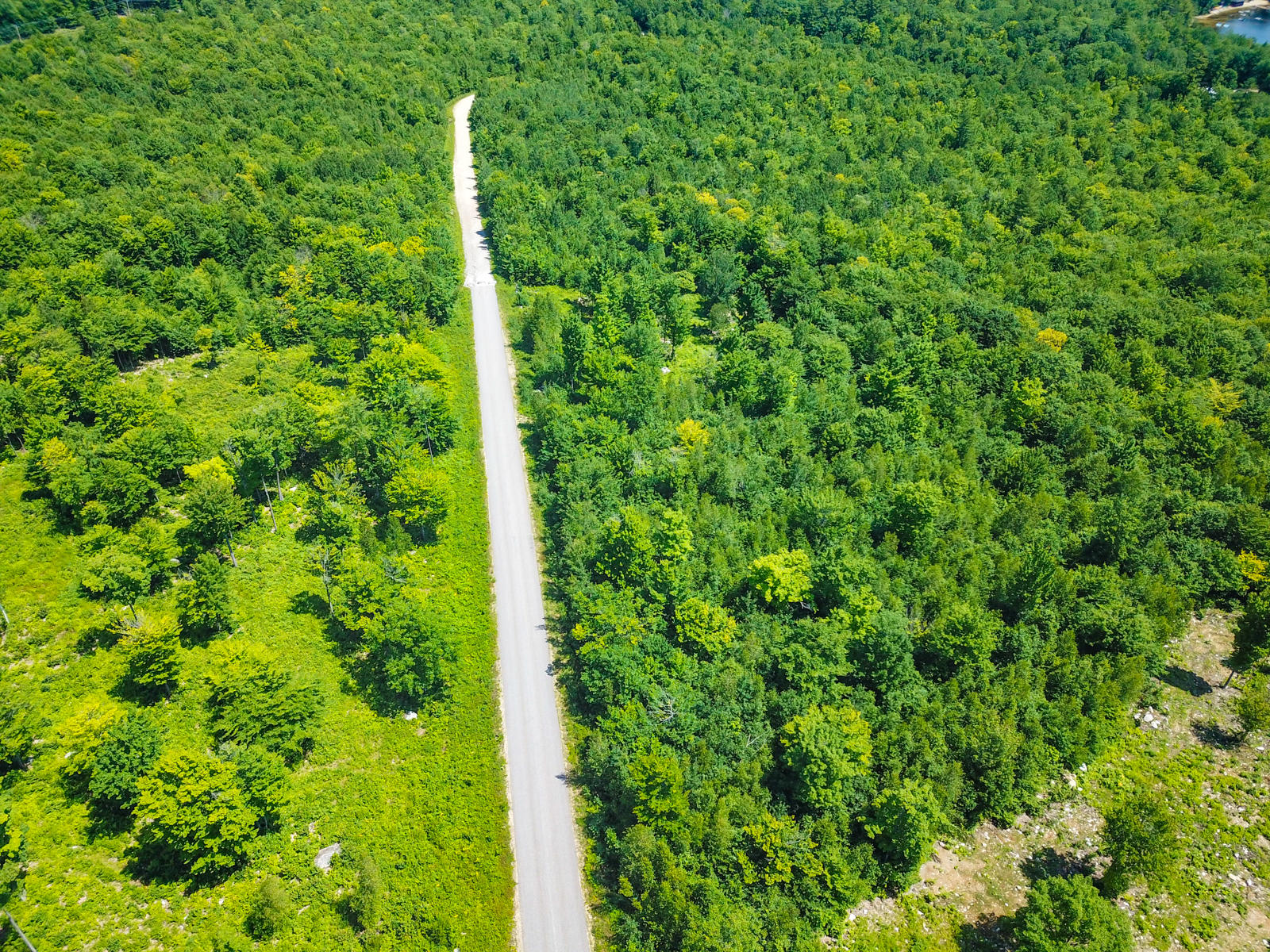 0 Ridgeview Road Harrison, ME 04040 - Photo 2 of 5 sarah noble land-18