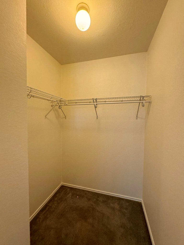 12516 Briarcreek Loop Manor, TX 78653 - Photo 26 of 40