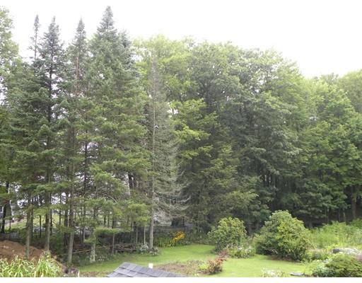 300 Partridge Hill Road Charlton, MA 01507 - Photo 24 of 39 a view of a forest with trees in front of it