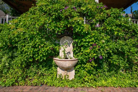 a view of a garden with a house