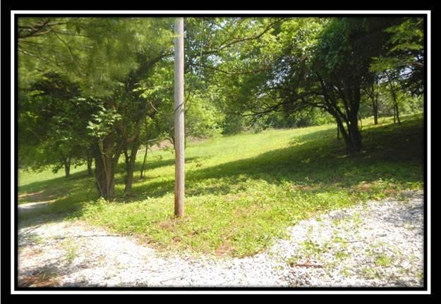 0 Inlay Road Blue Rock, OH 43720 - Photo 3 of 8 Gallery Image 3