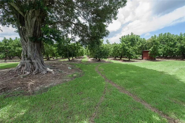 a view of an outdoor space and yard