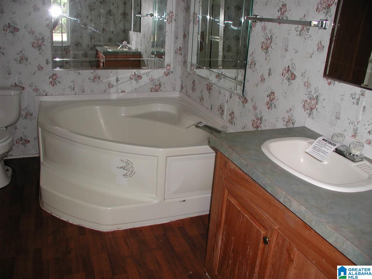 5110 Red Valley Road Remlap, AL 35133 - Photo 3 of 9 Gallery Image 3