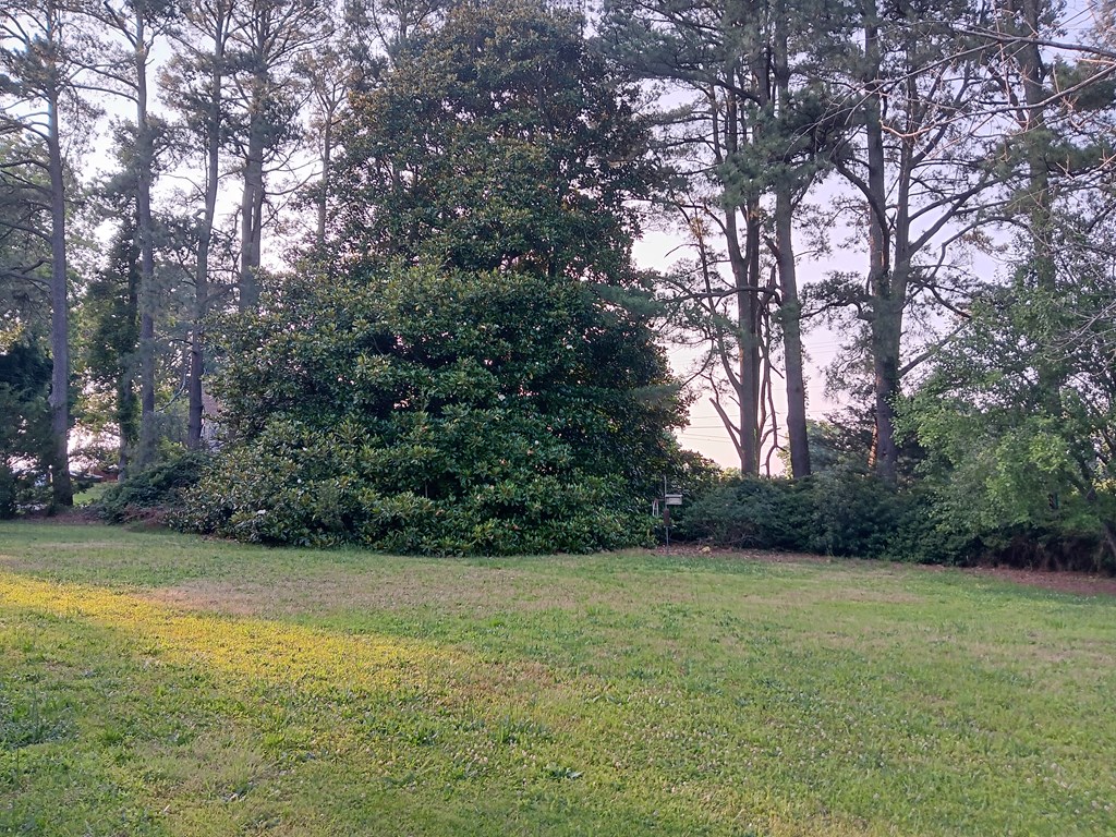 34079 Seaside Road Painter, VA 23420 - Photo 65 of 77