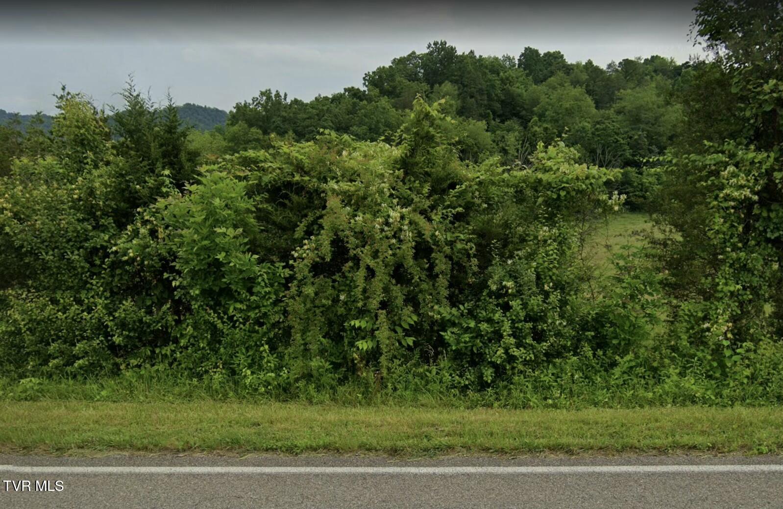 Tbd White Top Road Bluff City, TN 37618 - Photo 1 of 1 White Top Rd.