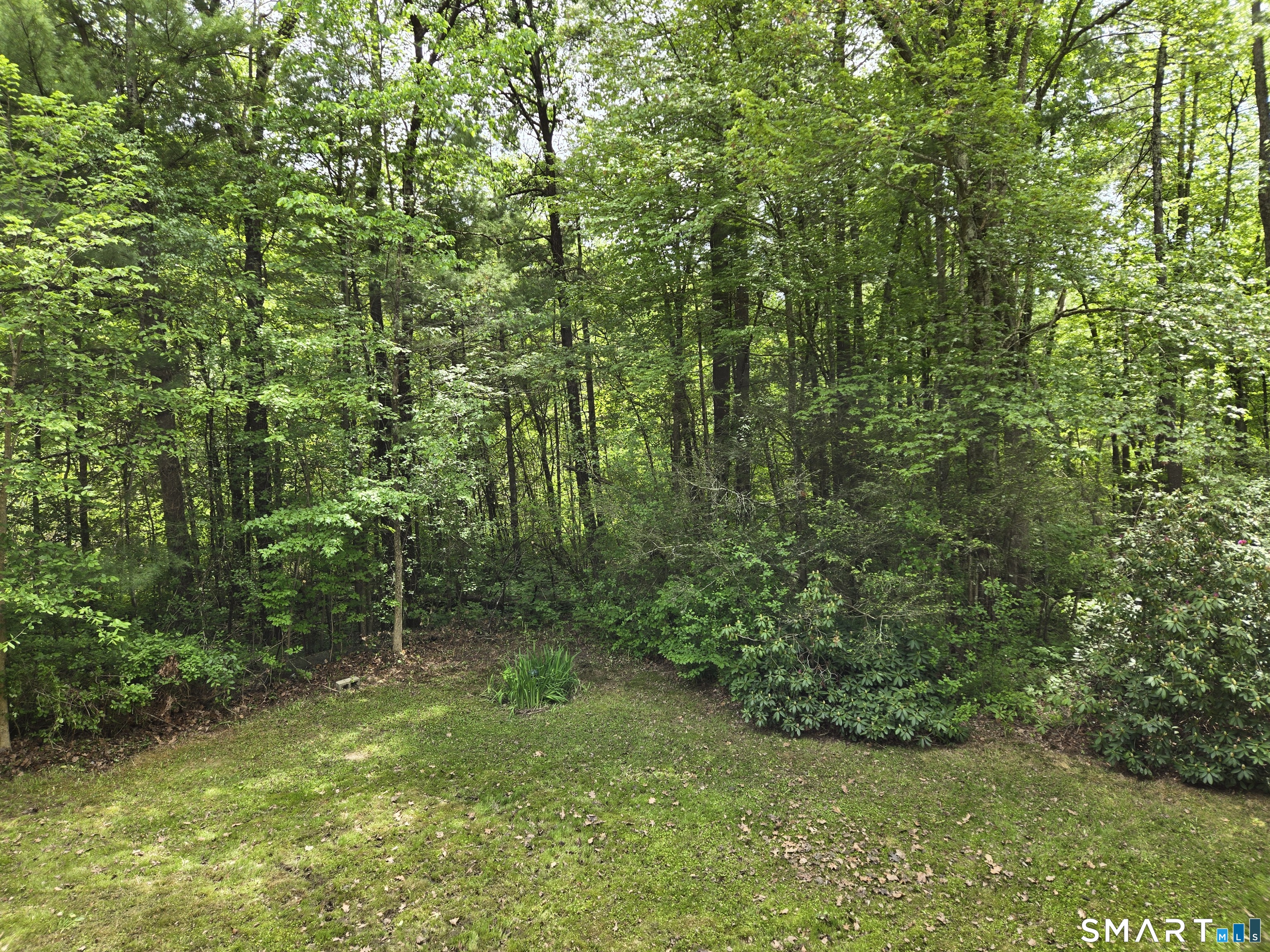 142 Cedar Lane Torrington, CT 06790 - Photo 6 of 20