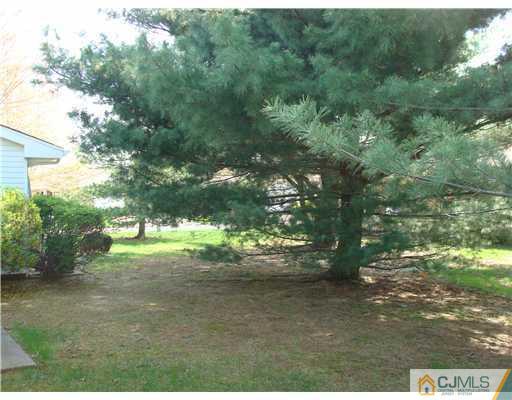 716 B Delair Road Monroe Township, NJ 08831 - Photo 3 of 13 a view of yard