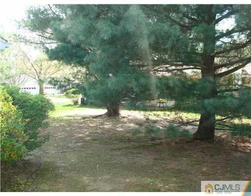 716 B Delair Road Monroe Township, NJ 08831 - Photo 4 of 13 a view of a yard