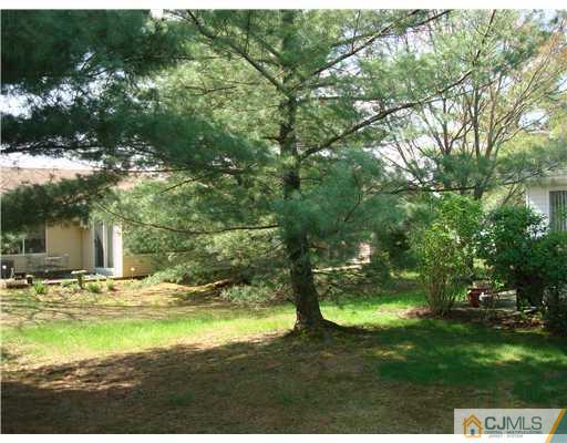 716 B Delair Road Monroe Township, NJ 08831 - Photo 5 of 13 a view of the trees