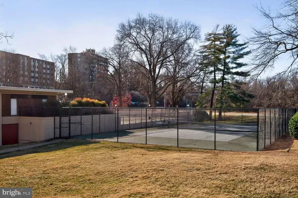 a view of a yard with wooden fence