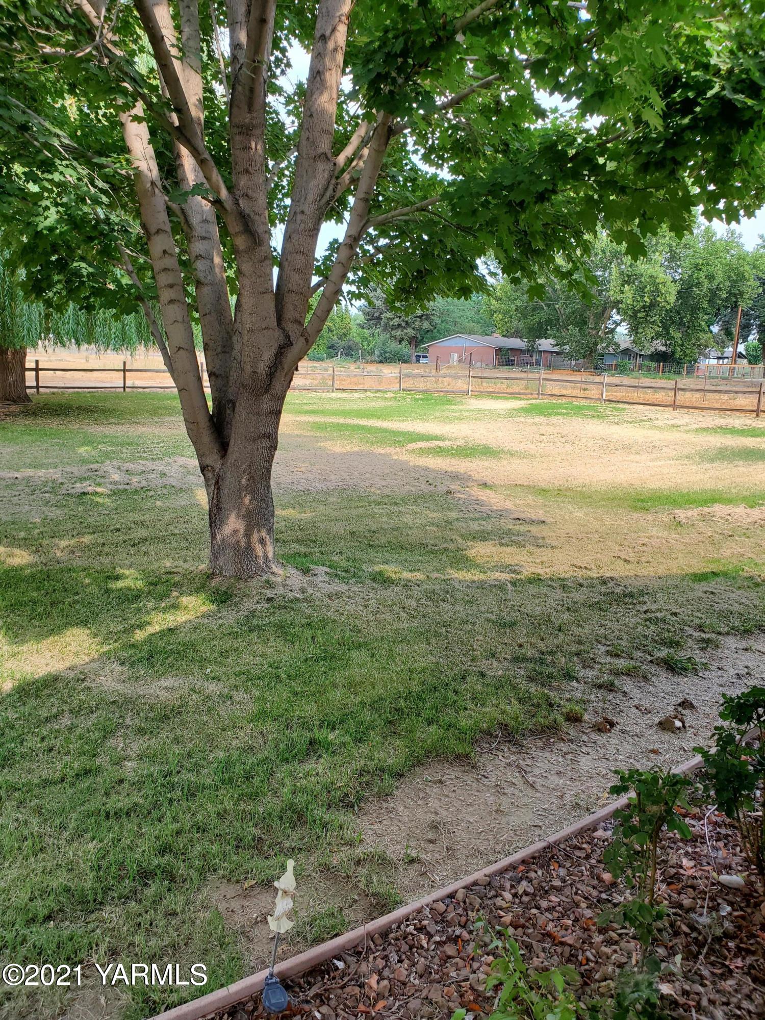 4205 Hicks Road Grandview, WA 98930 - Photo 3 of 12 a view of a yard with an trees