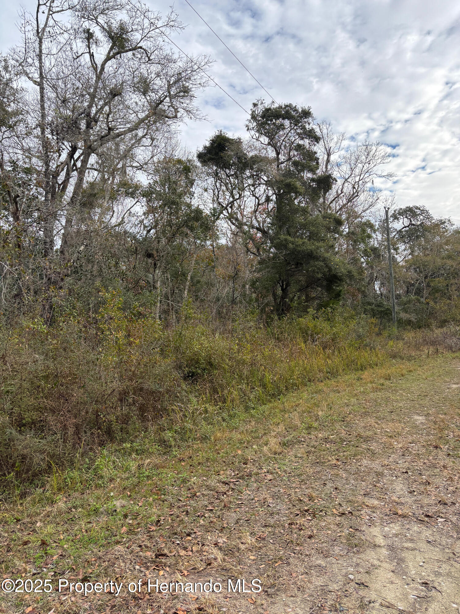 Lot 1 Carolina Dove Road Weeki Wachee, FL 34614 - Photo 6 of 6