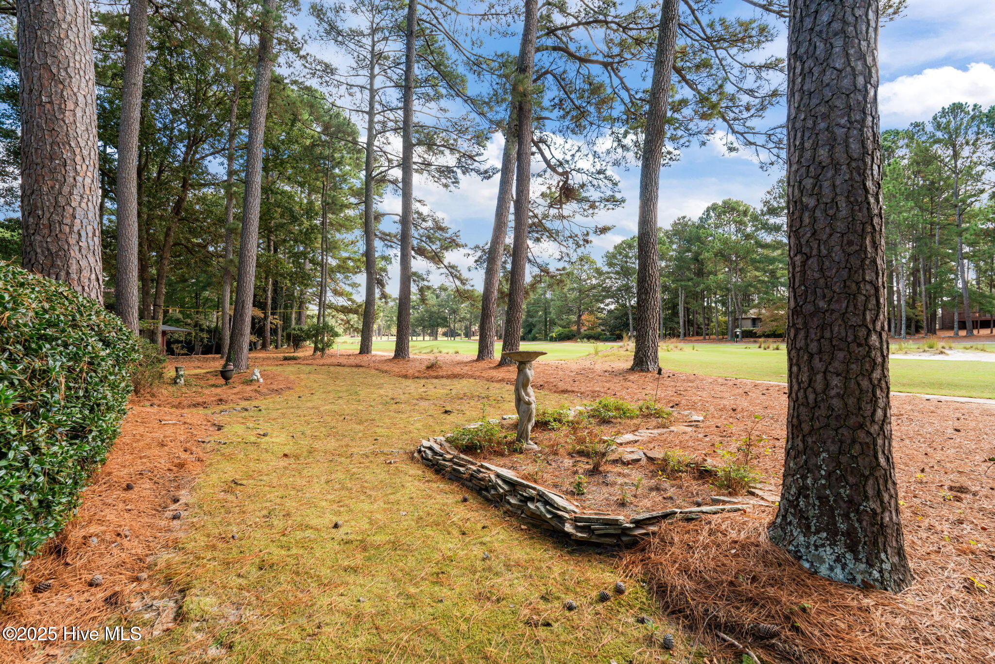 4 Inverness Place Pinehurst, NC 28374 - Photo 30 of 36 48-web-or-mls-DSC00783