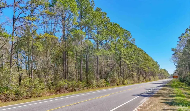 a view of a yard from a window