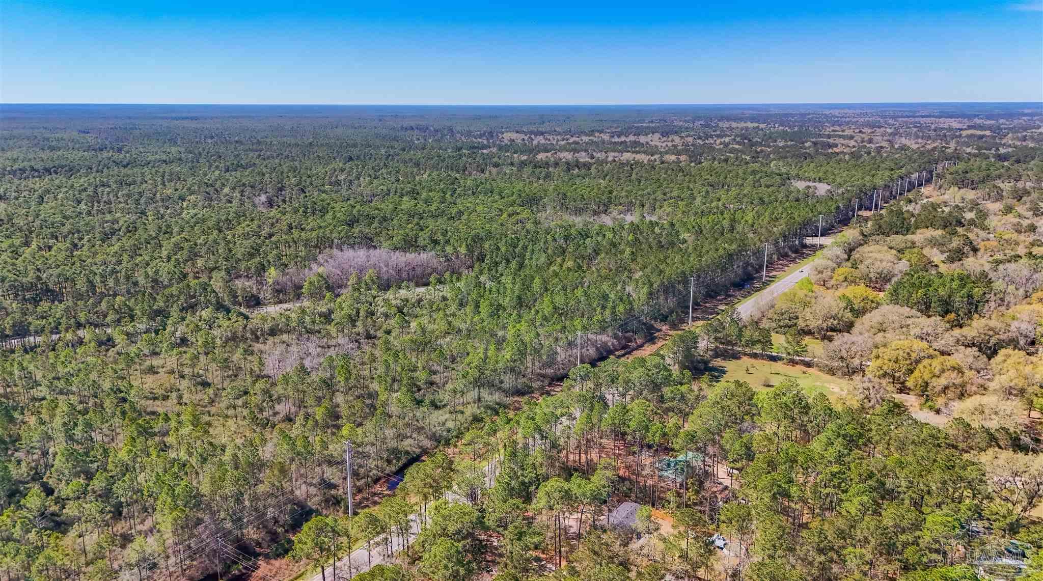 2 Highway 20 Freeport, FL 32439 - Photo 4 of 7 a view of a city with lush green forest
